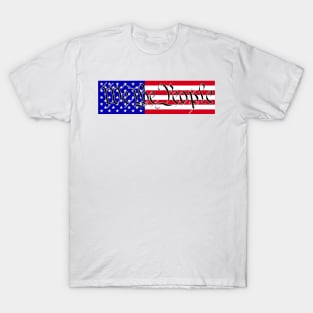 We the People with a Flag Background T-Shirt
